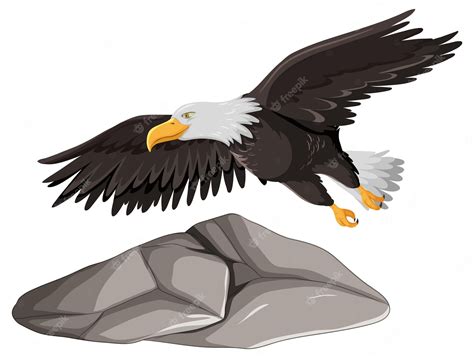9,550 Clip Art Eagle Images, Stock Photos & Vectors | Shutterstock #3788021