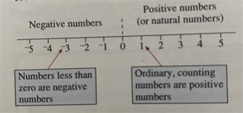 Image result for Negative Numbers Questions Year 9