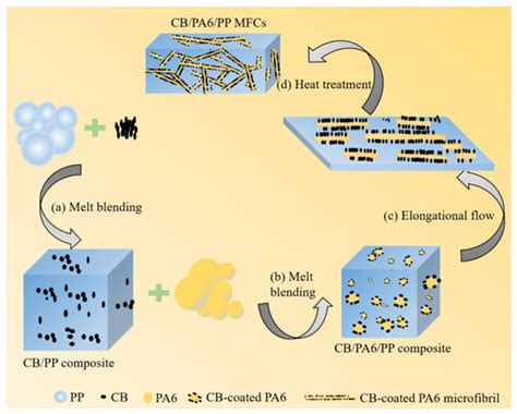 The Entangled Conductive Structure of CB/PA6/PP MFCs and Their ...