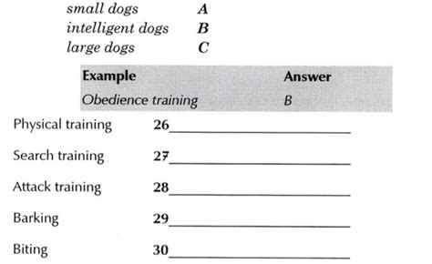 Image result for IDP Computer-Based Practice Test