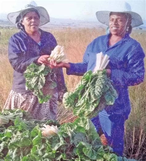 LAND REFORM: lack of government support at the root of community's ...