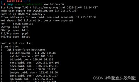 NetBox and Nmap 的图像结果