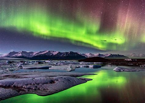 Pivot Interactives Free Fall Lab 的图像结果