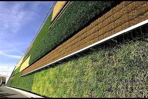 Know The Story Of Israel Vertical Farming Where Crops Grows On Wall ...