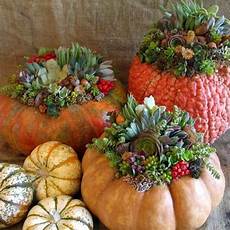 composizioni fiori autunnali fiori d autunno per un tocco di stile le verzeletti composizioni fiori autunnali fiori d autunno per un tocco di stile le verzeletti