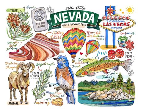Nevada State Print. State symbols. Illustration. State art. | Etsy
