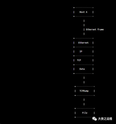 Hcpp IP Network Dump Free 的图像结果