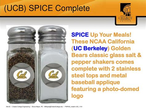 Image result for Spice Circuit Examples