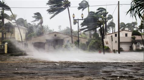 Climate Change 的图像结果