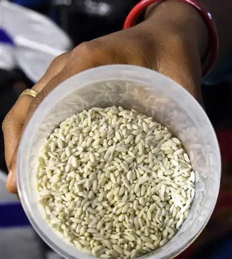 Centre Defends Fortified Rice as Safe for Everyone