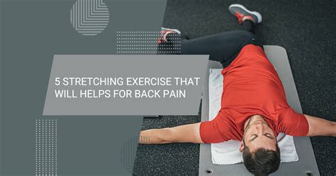 Image result for Bad Back Stretching Exercises