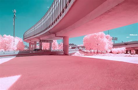 An introduction to infrared (IR) photography | Adobe