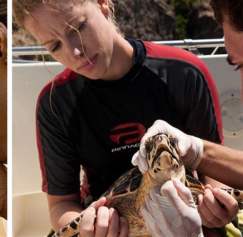 Where Do Veterinarians Work? Top # Work Locations | Ross Vet