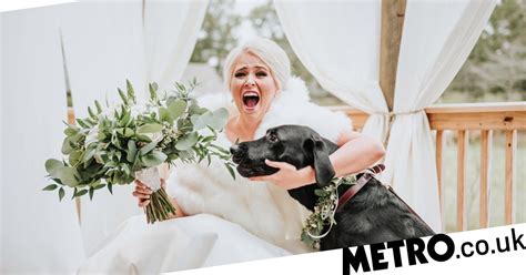 Image result for Dog Attacks Bride