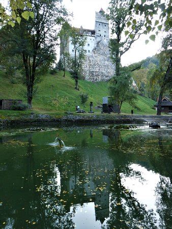 Hola Transylvania (Brasov) - 2022 What to Know Before You Go (with ...