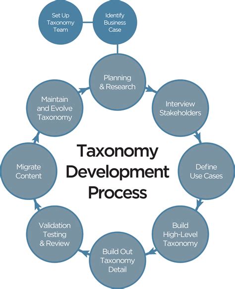 Image result for Support Processes Taxonomy