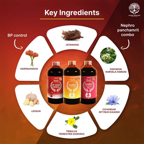 BP Control Premium, Nephro Panchamrit, and Nephro Panchamrit Plus Suga ...