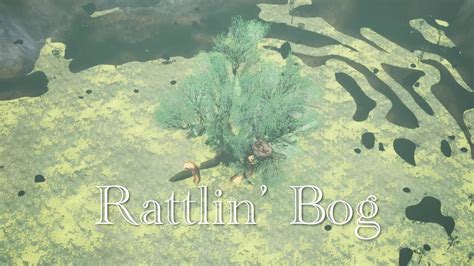 Rattlin Bog Video Trailer on Vimeo