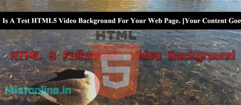 Background Video HTML CSS 的图像结果