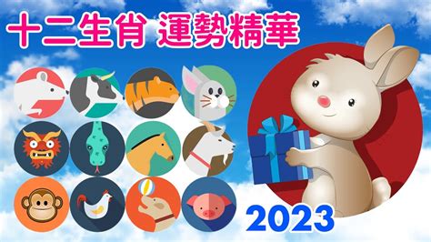 【生肖五行算命】十二生肖2023水兔年的運勢精華 賀新年 發財八大生肖