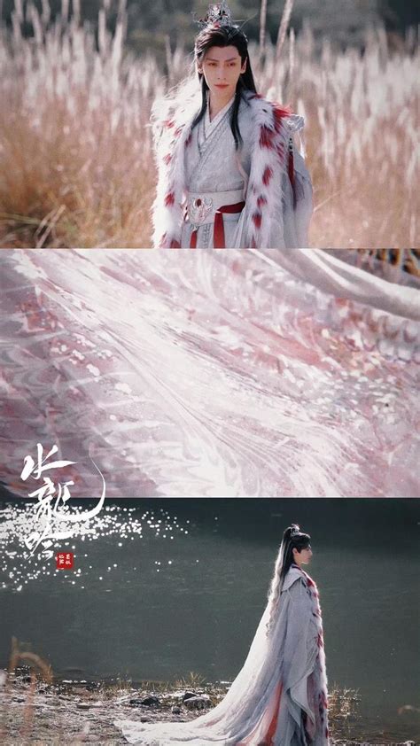 水龙吟最新素材