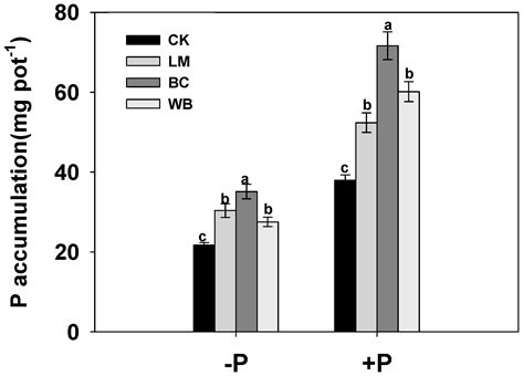 Effect of Rice-Straw Biochar Application on the Acquisition of ...