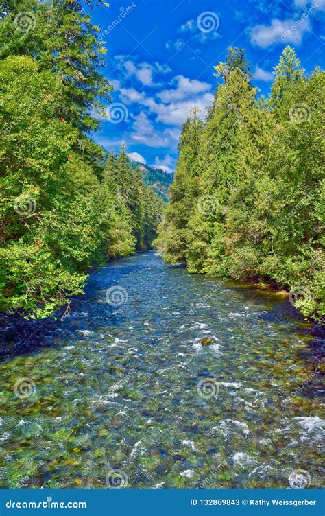 The McKenzie River Flows Along the Forest in Oregon Stock Image - Image ...