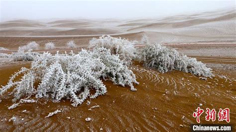 塔克拉玛干沙漠迎罕见降雪_凤凰网