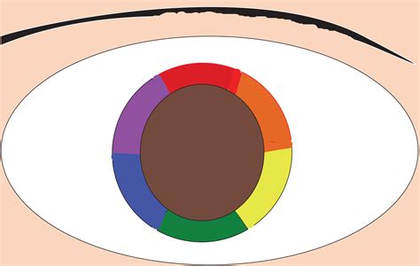 Eyes Color Wheel at Jose Mccoy blog