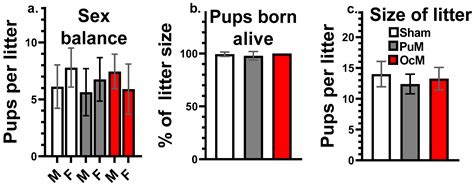 Delayed Growth in Immature Male Rats Exposed to 900 MHz Radiofrequency