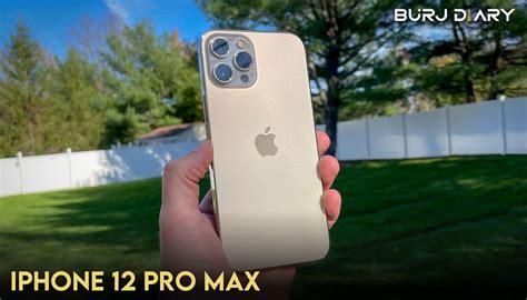 iPhone 12 Pro Max 的图像结果