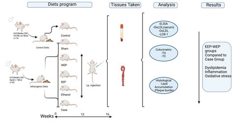 Effect of Propolis Extracts on OxLDL and LOX-1 Levels in ApoE Knockout ...
