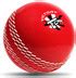 VICTORY Cricket Wind Ball (Pack of 3) - Made in India Smooth Cricket ...