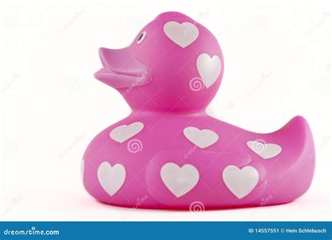 Pink rubber ducky stock image. Image of smiling, cute - 14557551
