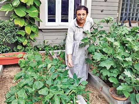 1500 Ahmedabadis grow vegetables like Bhinda, Choli, Guar, Dudhi ...
