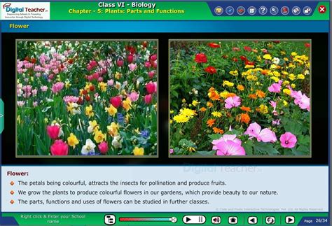 Infographics | Biology | Digital Teacher