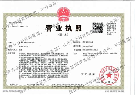 公司营业执照 - 重庆蓝维科技有限公司 | 蓝维科技