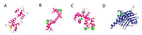 Biomolecules | Special Issue : Calcium Binding Proteins: Structure ...