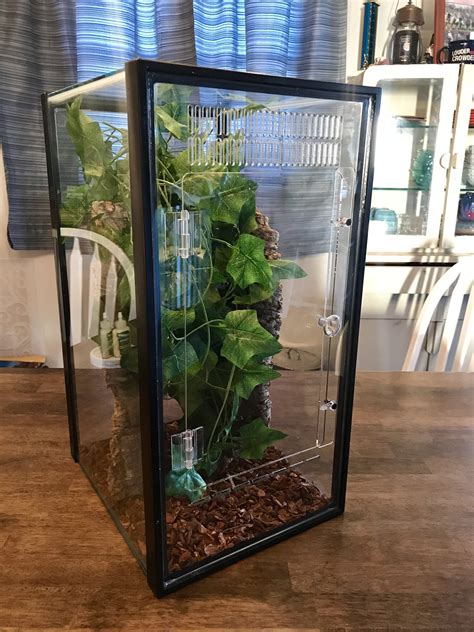 20 Gallon Tall Tank Stocking Ideas at Sofia Davies blog
