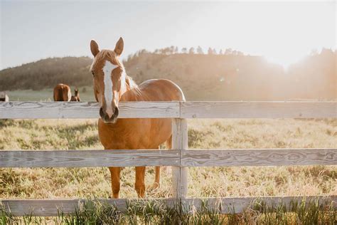 Circle Bar Guest Ranch – Rustic Vacations