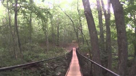 Slocums River Reserve, dartmouth, United States Of America - Top ...