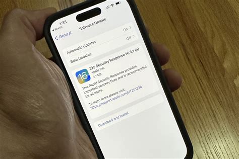 Image result for iOS Patch
