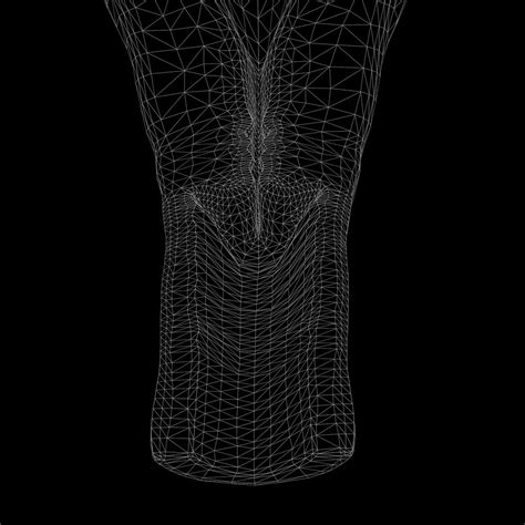 Image result for Reproductive System 3D Model