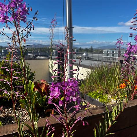 SCP REDMOND HOTEL - Hotel Reviews, Photos, Rate Comparison - Tripadvisor
