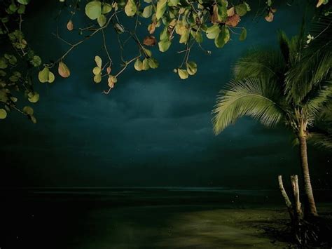 Scenic view of tree by sea against sky | Premium Photo