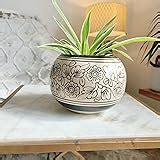 Niyara Combo Designer Handmade Combo Ceramic planters Pot for Indoor ...
