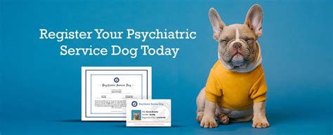 Psychiatric Service Dog Task Training 的图像结果