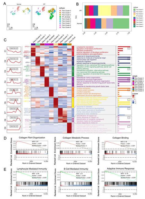 Machine Learning and Single-Cell Analysis Identify Molecular Features ...