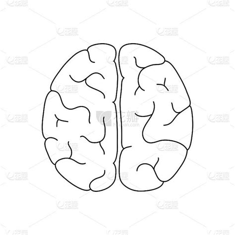 人脑 的图像结果