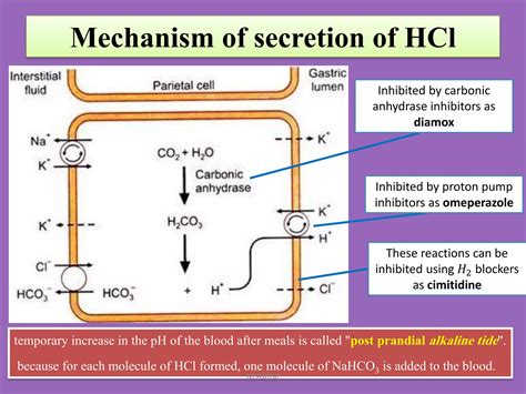 Image result for HTML Create Questions for Practice S2 Computer Science